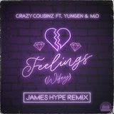 Feelings (Wifey)  -  James Hype Remix cover art