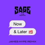 Now and Later  -  James Hype Remix cover art