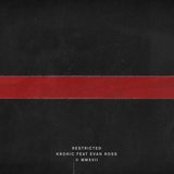 Restricted  -  James Hype Remix cover art